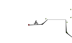 Small Race