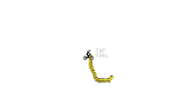The Yellow Trail