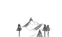 Conifer Grove