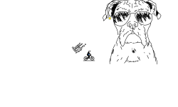 Buuldog
