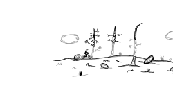 Nature Run