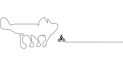 Dogs