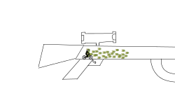 gun whit