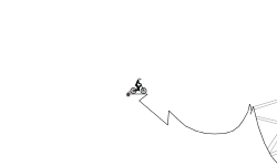Race radical