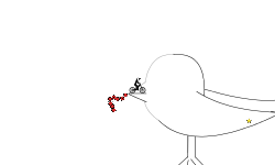 It's a BIRD
