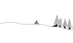 race