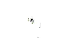 odd track