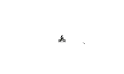 Bullet