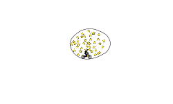 the circle