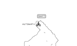 Automatic