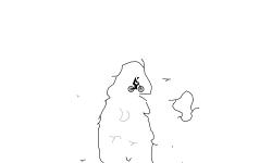 cool cave auto