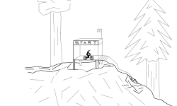 Forest Stroll