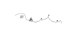 Spike Road (Pro)