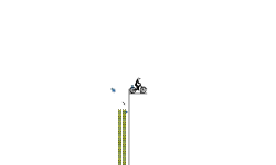 Need for more Speed