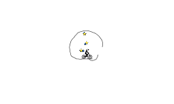 round round