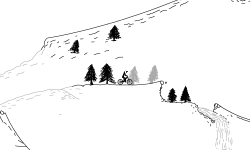 Forest Mountian