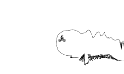 Cave