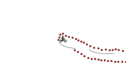 Bomb Dash