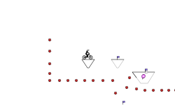 Trail