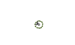MTB Auto and Lightspeed Cannon