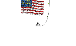 Stars N' Stripes