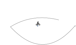 LOng Fly Thing