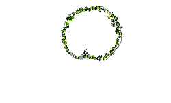 Boost circle