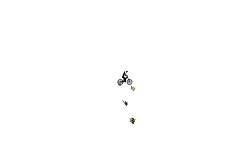 Short Spinner