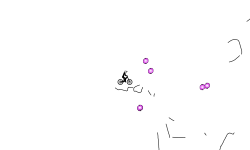 fjsa
