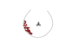 The Vase