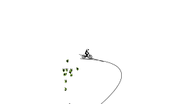 The tricks in the bag