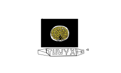 Roundcore