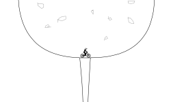 Wine Glass