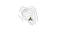 Test track