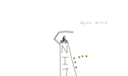Nitro Circus (Quad Backflip)