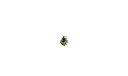 Auto run 2