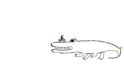 Alligator