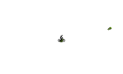 funtime track (auto)