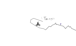 Race 1. Terrain