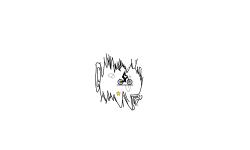 Can you see the boy in a cave?