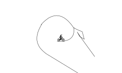 slopes