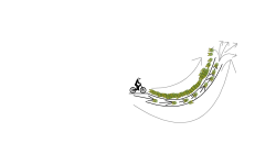 EPIC jump!!!