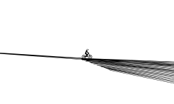 Witches  Broom