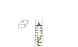 LongMan Glitch