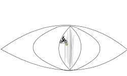 The Eye
