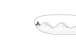Surfer