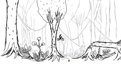 Rainforest Run 100th track
