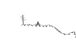 Hiking Trail