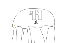 Jellyfish