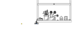 Windowsill